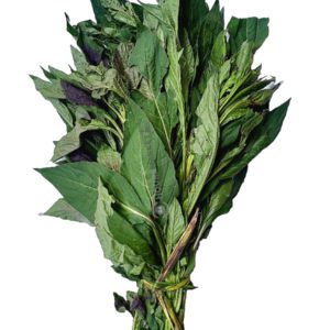 Efo Shoko (Green) 1 bunch