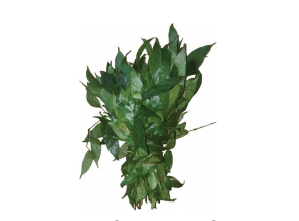 Fresh Okazi Leaf - Image 2