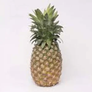 Pineapple Fruit