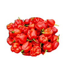 Fresh Pepper (Habanero Rodo) (1 Plate)